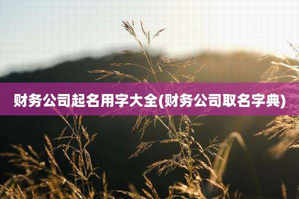 财务公司起名用字大全(财务公司取名字典)