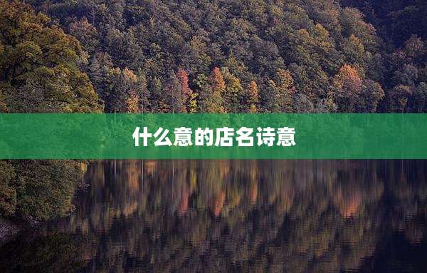 什么意的店名诗意