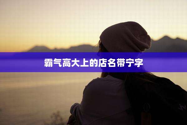霸气高大上的店名带宁字