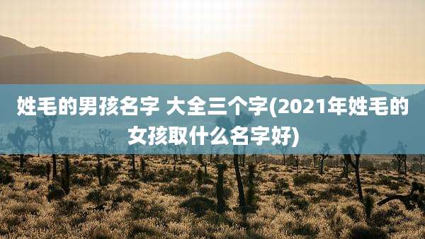 姓毛的男孩名字 大全三个字(2021年姓毛的女孩取什么名字好)