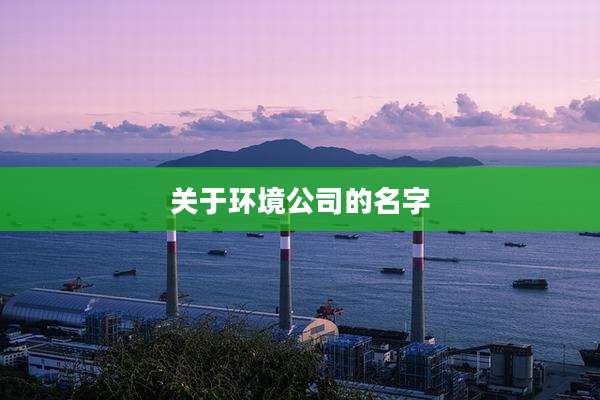 关于环境公司的名字