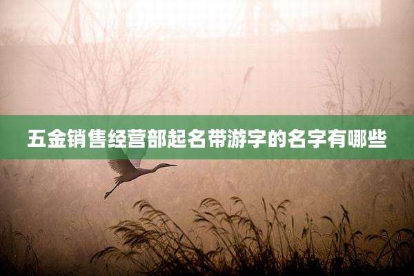 五金销售经营部起名带游字的名字有哪些
