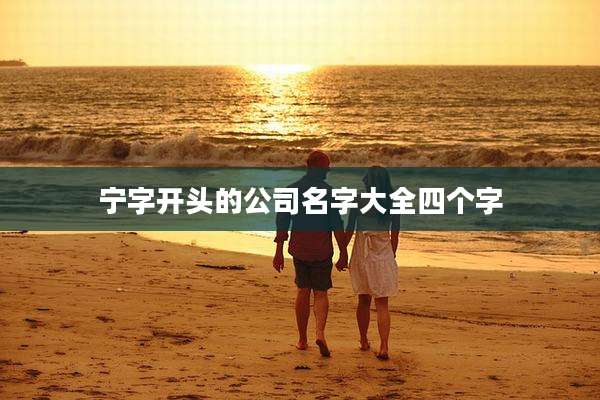 宁字开头的公司名字大全四个字