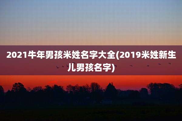 2021牛年男孩米姓名字大全(2019米姓新生儿男孩名字)