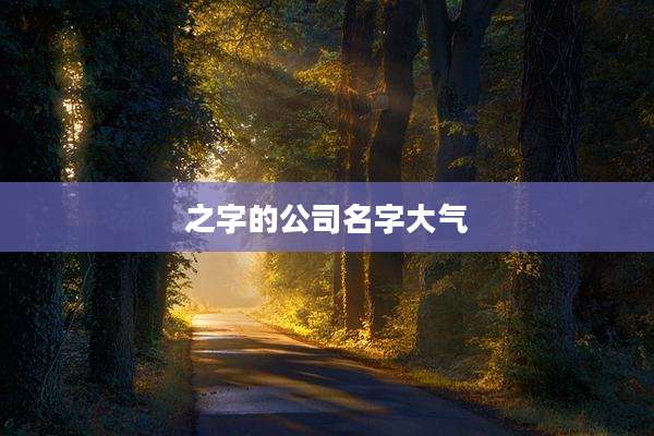 之字的公司名字大气