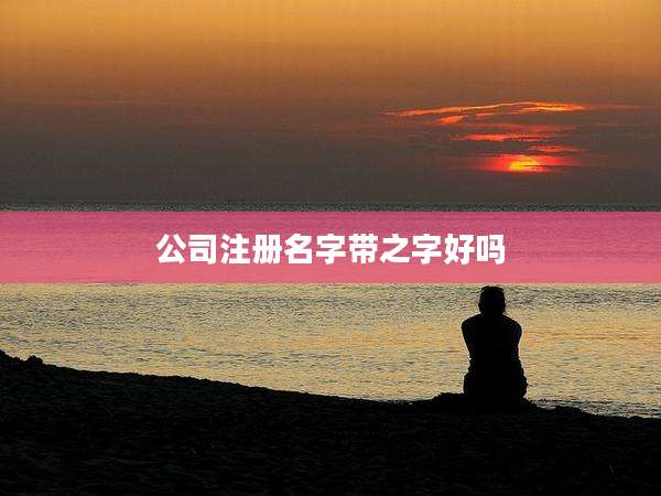 公司注册名字带之字好吗