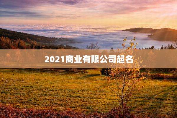 2021商业有限公司起名