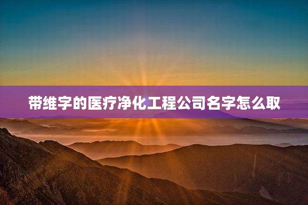 带维字的医疗净化工程公司名字怎么取
