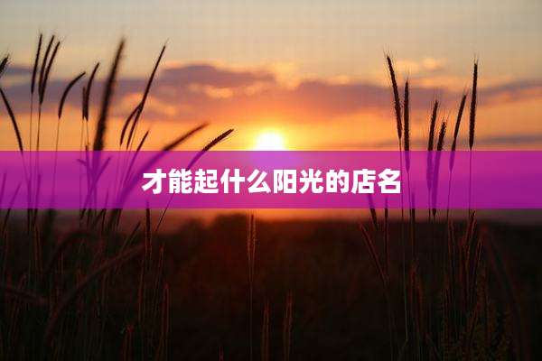 才能起什么阳光的店名