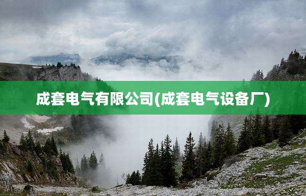 成套电气有限公司(成套电气设备厂)