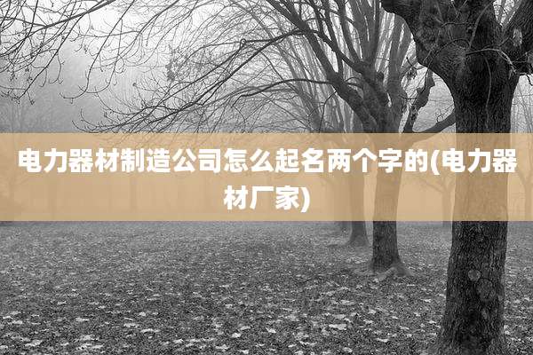 电力器材制造公司怎么起名两个字的(电力器材厂家)