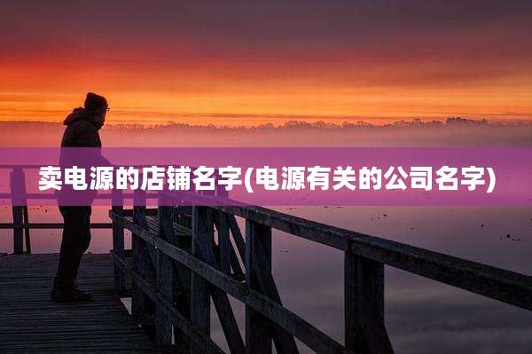 卖电源的店铺名字(电源有关的公司名字)