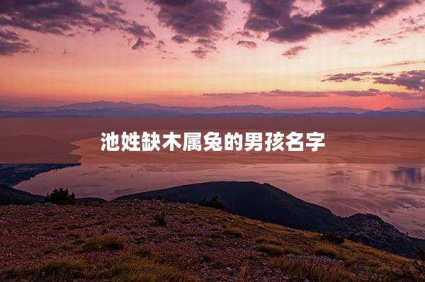 池姓缺木属兔的男孩名字