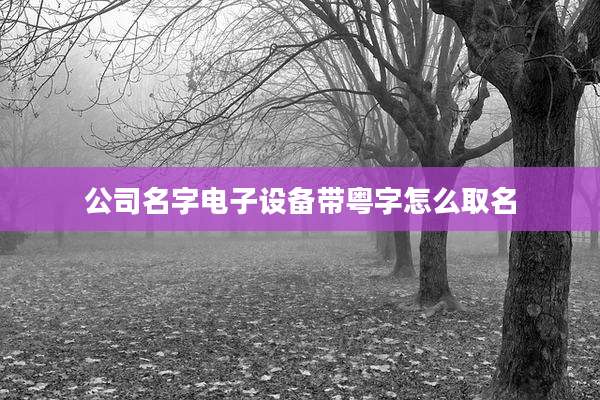 公司名字电子设备带粤字怎么取名