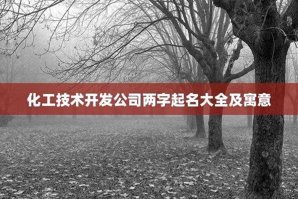 化工技术开发公司两字起名大全及寓意