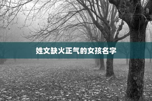 姓文缺火正气的女孩名字