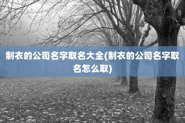 制衣的公司名字取名大全(制衣的公司名字取名怎么取)