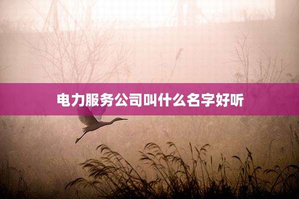 电力服务公司叫什么名字好听