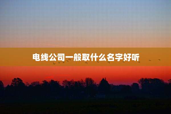 电线公司一般取什么名字好听