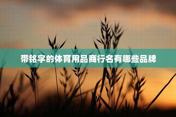 带铭字的体育用品商行名有哪些品牌