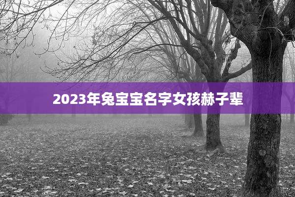 2023年兔宝宝名字女孩赫子辈