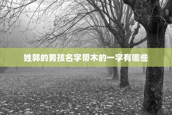 姓郭的男孩名字带木的一字有哪些
