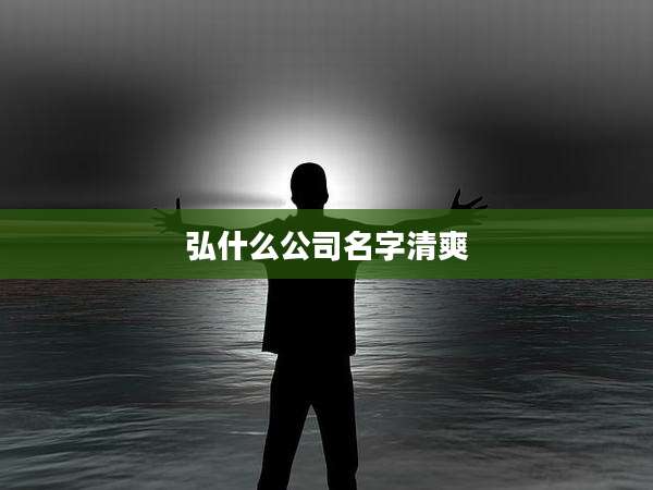 弘什么公司名字清爽