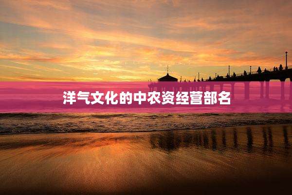 洋气文化的中农资经营部名