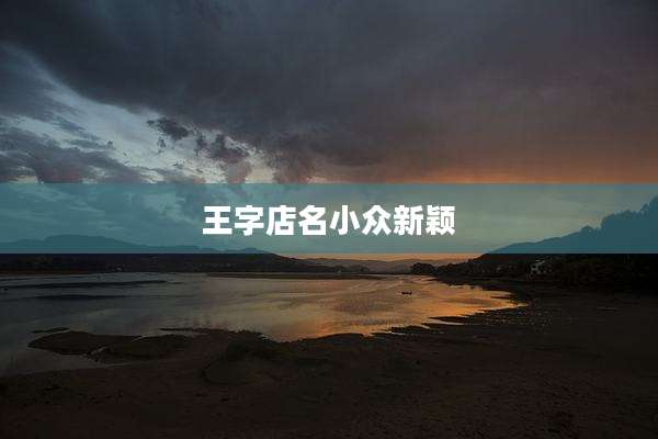 王字店名小众新颖