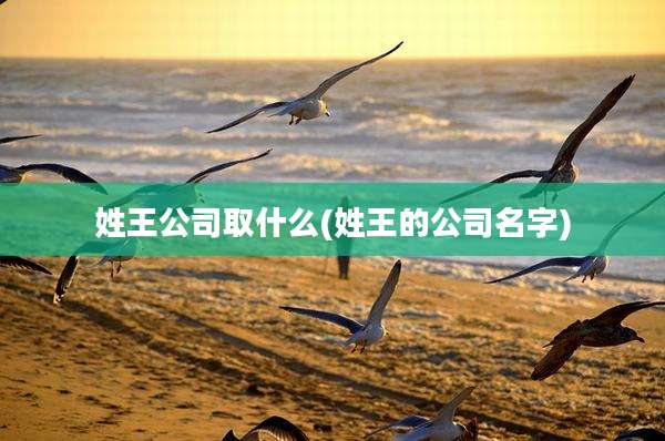 姓王公司取什么(姓王的公司名字)