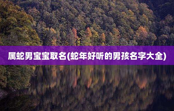 属蛇男宝宝取名(蛇年好听的男孩名字大全)