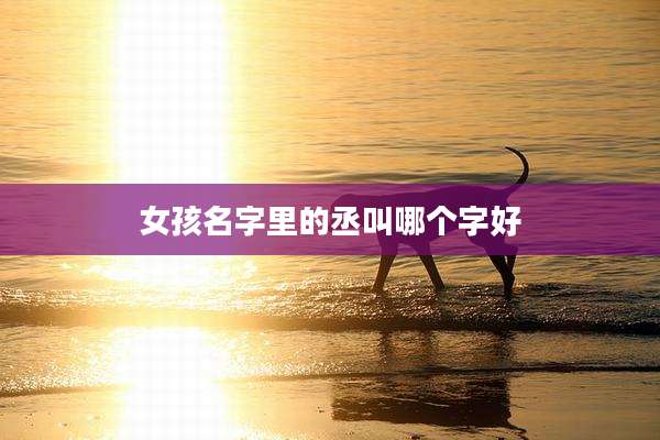 女孩名字里的丞叫哪个字好