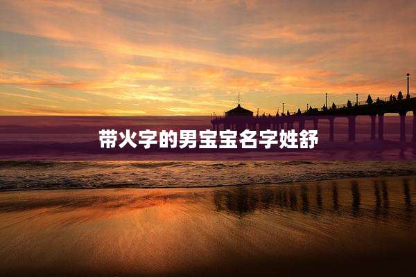 带火字的男宝宝名字姓舒