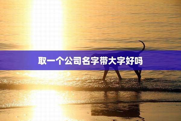 取一个公司名字带大字好吗