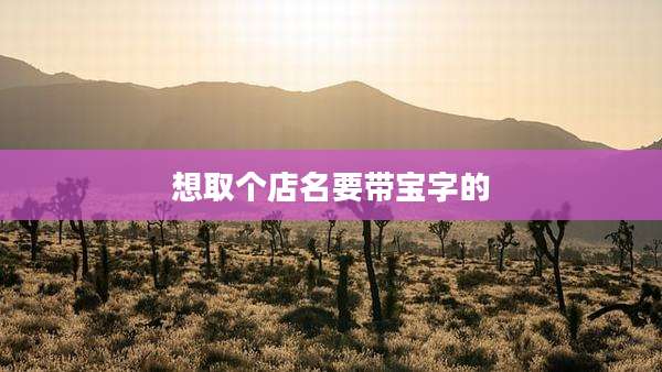 想取个店名要带宝字的