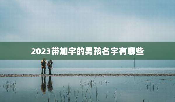 2023带加字的男孩名字有哪些