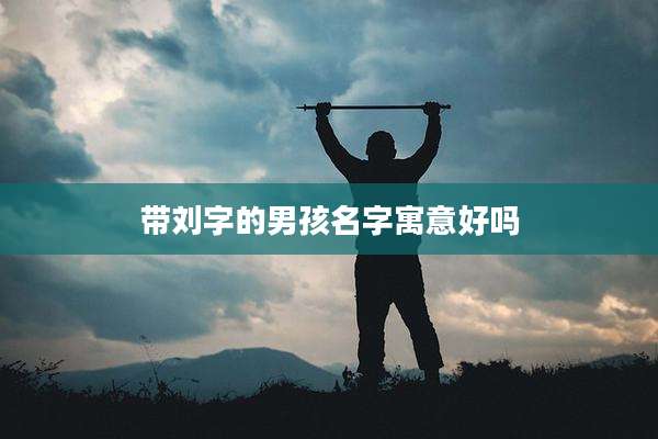 带刘字的男孩名字寓意好吗