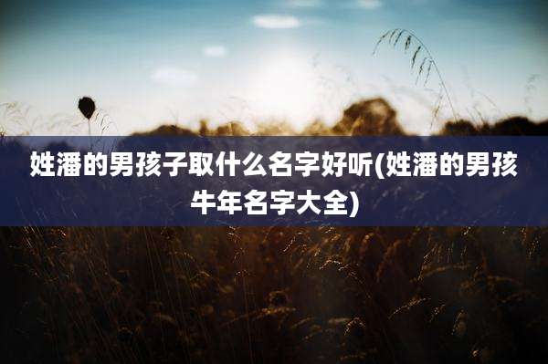 姓潘的男孩子取什么名字好听(姓潘的男孩牛年名字大全)
