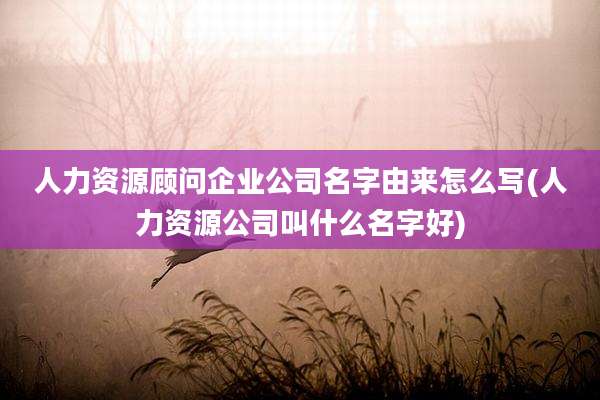 人力资源顾问企业公司名字由来怎么写(人力资源公司叫什么名字好)