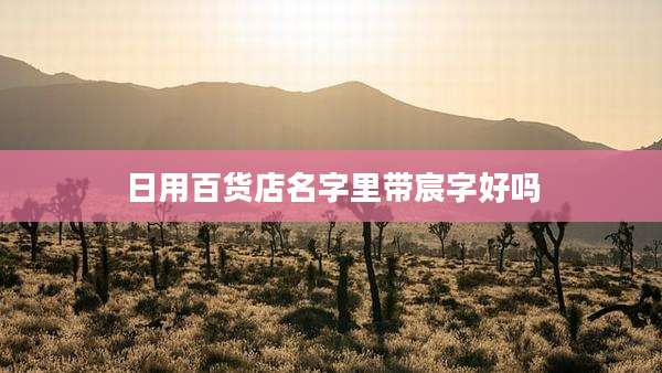 日用百货店名字里带宸字好吗