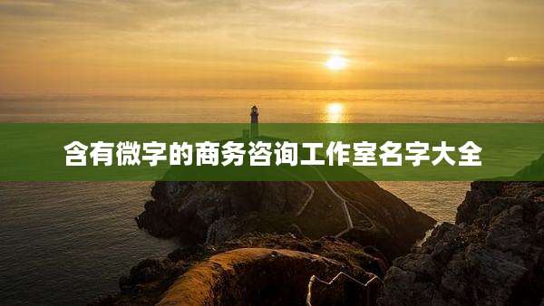 含有微字的商务咨询工作室名字大全