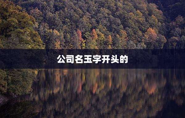 公司名玉字开头的