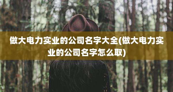 做大电力实业的公司名字大全(做大电力实业的公司名字怎么取)