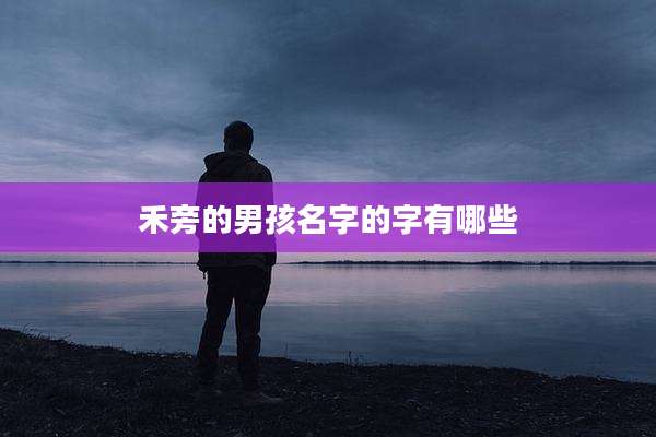 禾旁的男孩名字的字有哪些