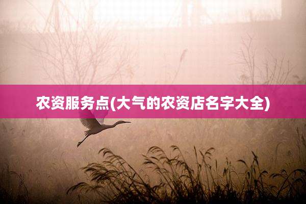 农资服务点(大气的农资店名字大全)