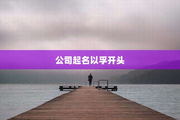 公司起名以孚开头