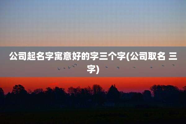 公司起名字寓意好的字三个字(公司取名 三字)