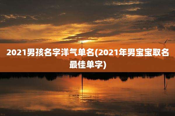 2021男孩名字洋气单名(2021年男宝宝取名最佳单字)