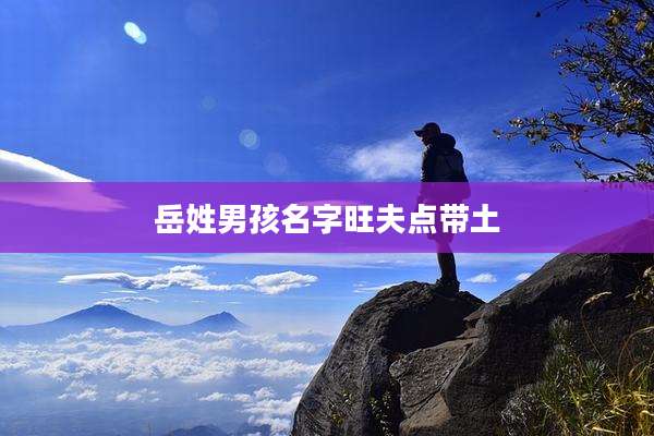 岳姓男孩名字旺夫点带土