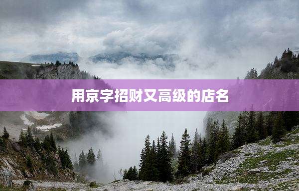 用京字招财又高级的店名
